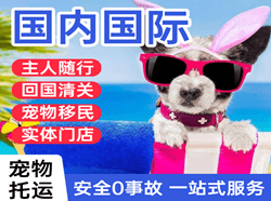 黄花机场邮寄国际宠物托运 【国